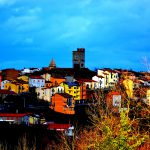 cropped-DSC_0460.jpg