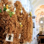 cropped-IMG_3749.jpg