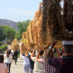 cropped-IMG_3789.jpg