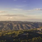 Panorama Teana