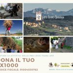 5x1000prolocoteana