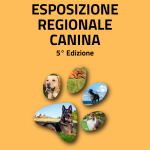 cover_mobile