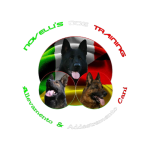 novelli