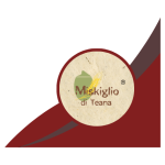 logo-elaborato