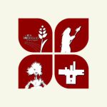 cropped-logo_profilo_wp.jpg