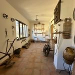 museo3