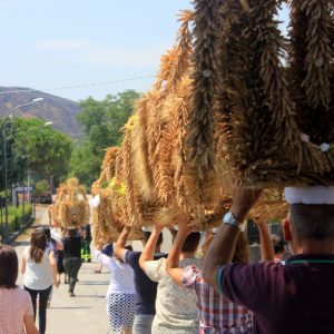 IMG_3789 IMG_3789